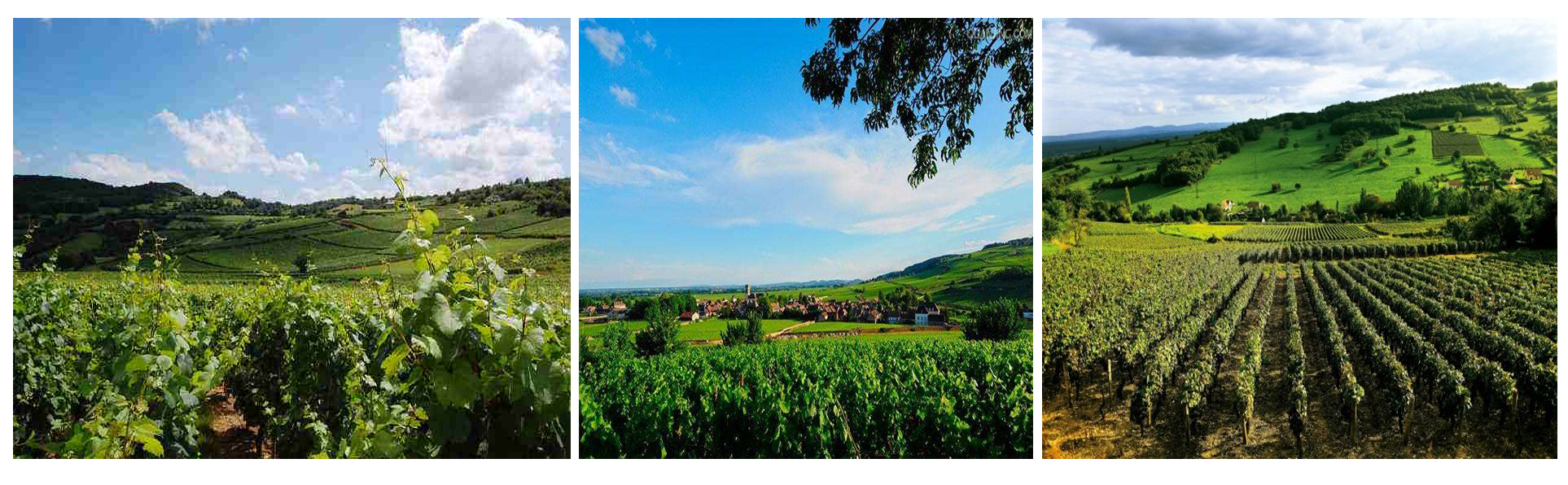 1573802557632922.jpg 未標(biāo)題-1.jpg