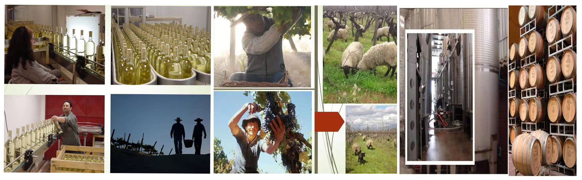 1574046642950904.jpg 未標題-1.jpg