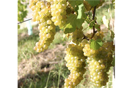 1575273019590880.jpg c81a3a20-949b-4d33-8cb1-e76a283746ba.jpg