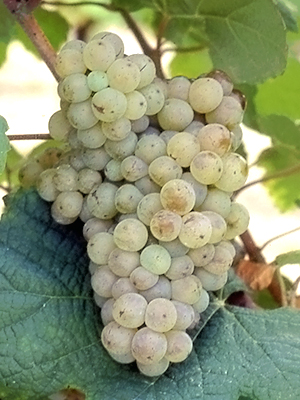 1575274060257502.jpg 4b70f1e7-022c-42c8-88ff-14398b5f0f11.jpg